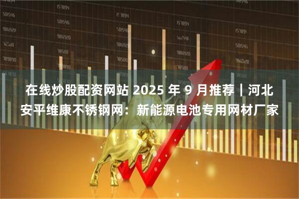 在线炒股配资网站 2025 年 9 月推荐｜河北安平维康不锈钢网：新能源电池专用网材厂家