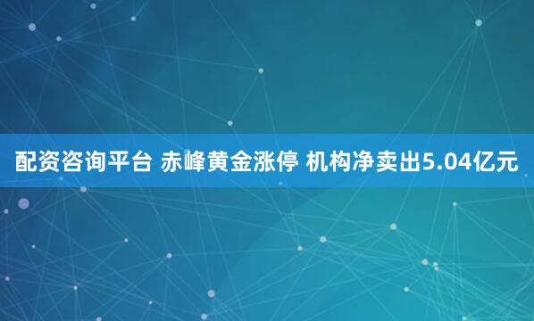 配资咨询平台 赤峰黄金涨停 机构净卖出5.04亿元