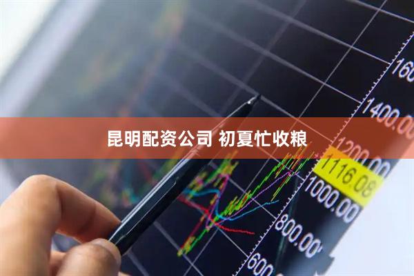 昆明配资公司 初夏忙收粮