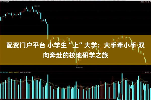 配资门户平台 小学生“上”大学：大手牵小手 双向奔赴的校地研学之旅