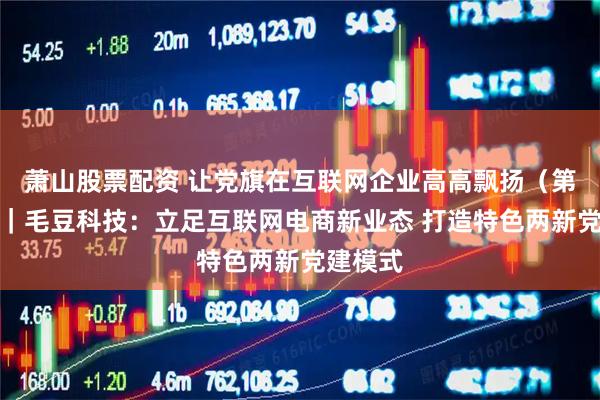萧山股票配资 让党旗在互联网企业高高飘扬（第三季）｜毛豆科技：立足互联网电商新业态 打造特色两新党建模式