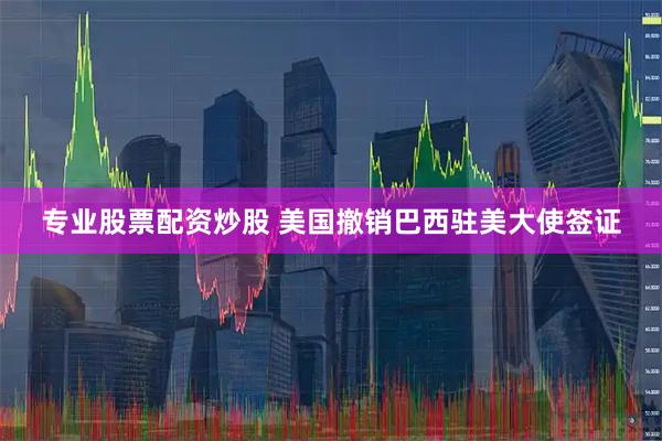 专业股票配资炒股 美国撤销巴西驻美大使签证